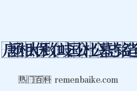 唐丞相太保致仁岐国公杜公墓志铭造句是什么意思的图片